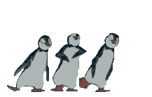 Dance the Penguin Polka!!!